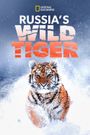 Big Cat Week