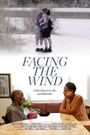 Facing the Wind