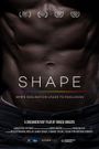 Shape: When Idolisation Leads to Exclusion