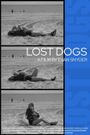 Lost Dogs