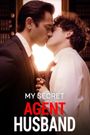 My Secret Agent Husband