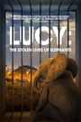 Lucy: The Stolen Lives of Elephants