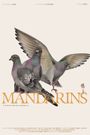 Mandarins