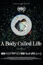 A Body Called Life