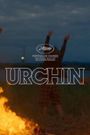 Urchin