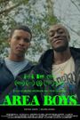Area Boys