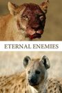 Big Cat Week