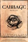 Cabbage