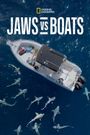 Need A Bigger Boat
