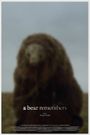 A Bear Remembers