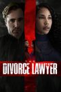 The Divorce Lawyer