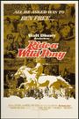 Ride a Wild Pony
