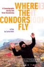 Where the Condors Fly