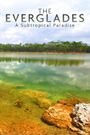 National Parks Exploration Series: The Everglades - A Subtropical Paradise