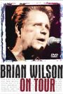 Brian Wilson on Tour
