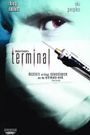 Terminal