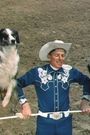 Cow Dog