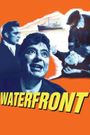 Waterfront Women