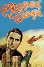 Clipped Wings