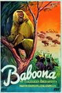 Baboona