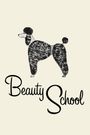 Beauty School