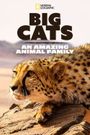 Cats: An Amazing Animal Family