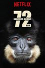 72 Dangerous Animals - Asia