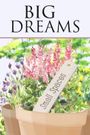 Big Dreams, Small Spaces