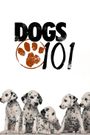 Dogs 101