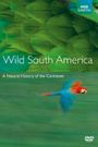 Andes to Amazon
