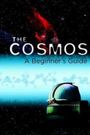 The Cosmos: A Beginner's Guide