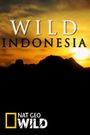 Destination Wild: Indonesia