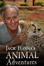 Animal Adventures
