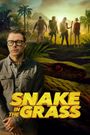 Snake in the Grass