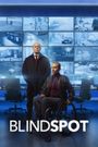 Blindspot