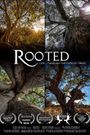 Rooted