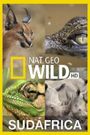 Wild South Africa