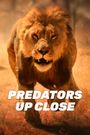 Predators Up Close with Joel Lambert