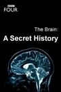 The Brain: A Secret History