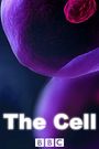 The Cell