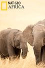 Africa