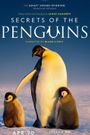 Secrets of the Penguins