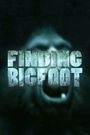 Finding Bigfoot