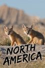 North America