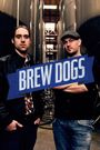 Brew Dogs