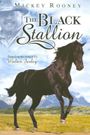 The Adventures of Black Stallion