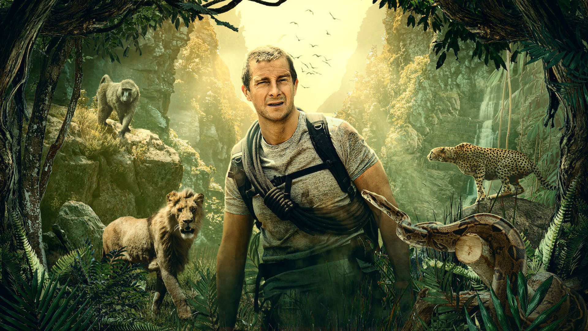 You vs. Wild background