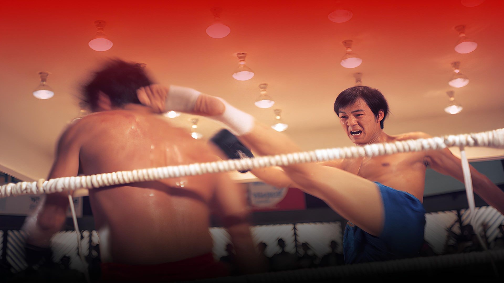Duel of Fists background