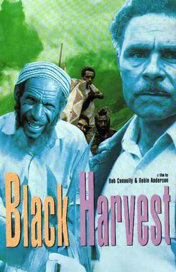 Black Harvest