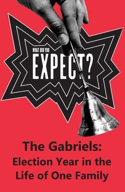 The Gabriels: Election Year in the Life of One Family